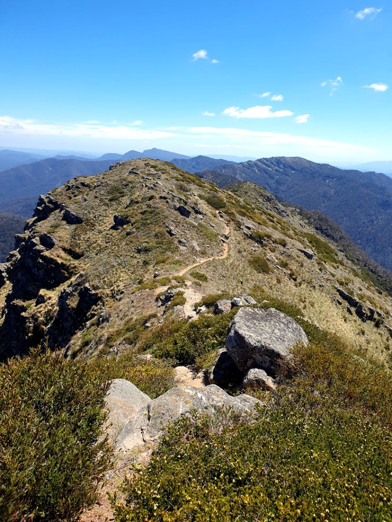 Rugged rocky ridge with Australian Alps blue in the background